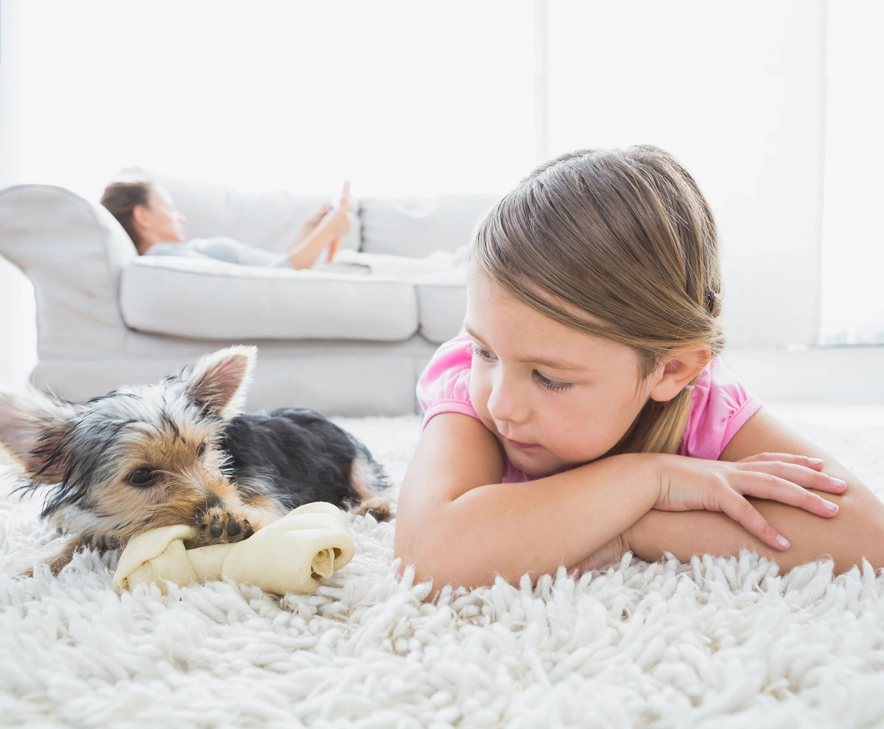 jakes carpet and upholstery cleaning safe for children and pets