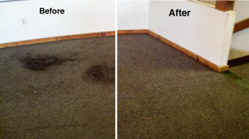 Before and After by Jake's Carpet and Upholstery Cleaning 4