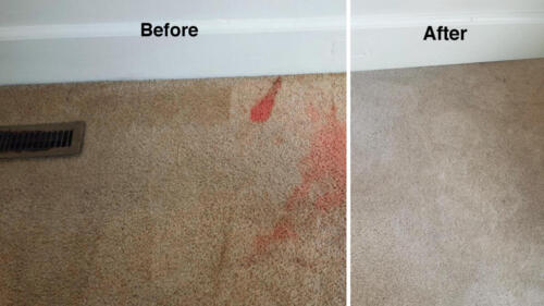 Before and After by Jake's Carpet and Upholstery Cleaning 9