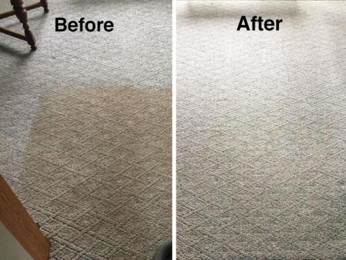 Before and After by Jake's Carpet and Upholstery Cleaning 7