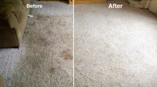 Before and After by Jake's Carpet and Upholstery Cleaning 6