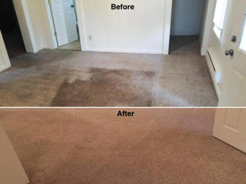 Before and After by Jake's Carpet and Upholstery Cleaning 5